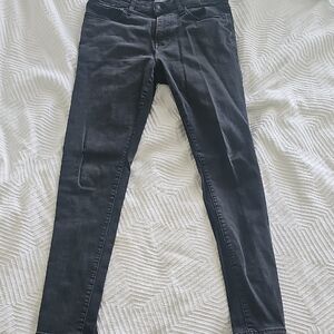 Express Charcoal Denim Pants
